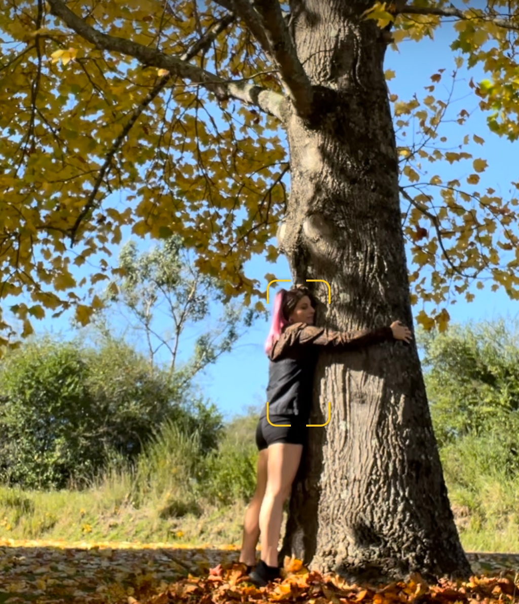 Everlush Oracle | 257 Holloways Rd, Sandy Beach NSW 2456, Australia | Phone: 0402 515 456