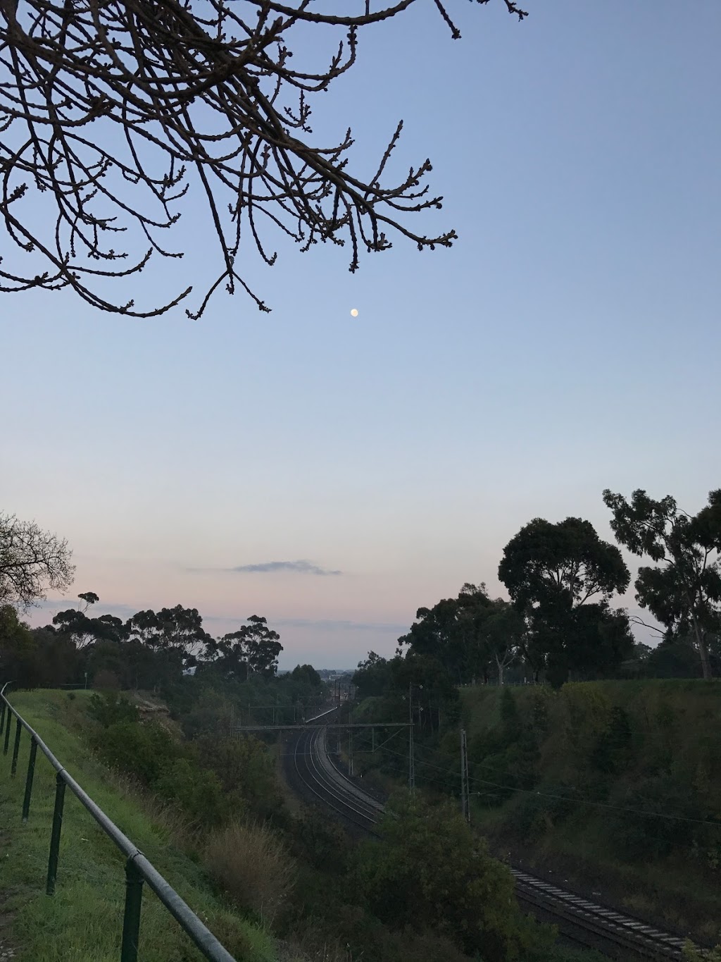 Poplar Oval | stadium | Old Poplar Rd, Parkville VIC 3052, Australia