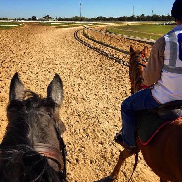 NATHAN DUNN RACING | Grant St, Cranbourne VIC 3977, Australia | Phone: 0425 701 748