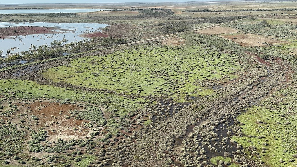 Gayini Conservation Area | 2748 Nap Nap Road, Maude NSW 2711, Australia | Phone: (02) 6993 2243