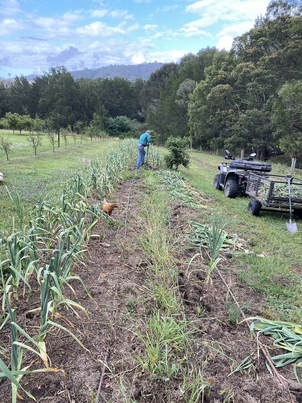 Glen Oaks Farm | 27 Little Glen Oaks Rd, Greendale NSW 2550, Australia | Phone: 0458 015 655