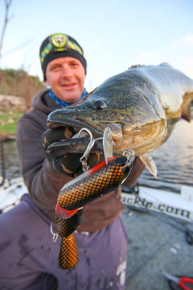 Ebb Tide Tackle | 20 Elliott St, Warrnambool VIC 3280, Australia | Phone: 0402 275 271