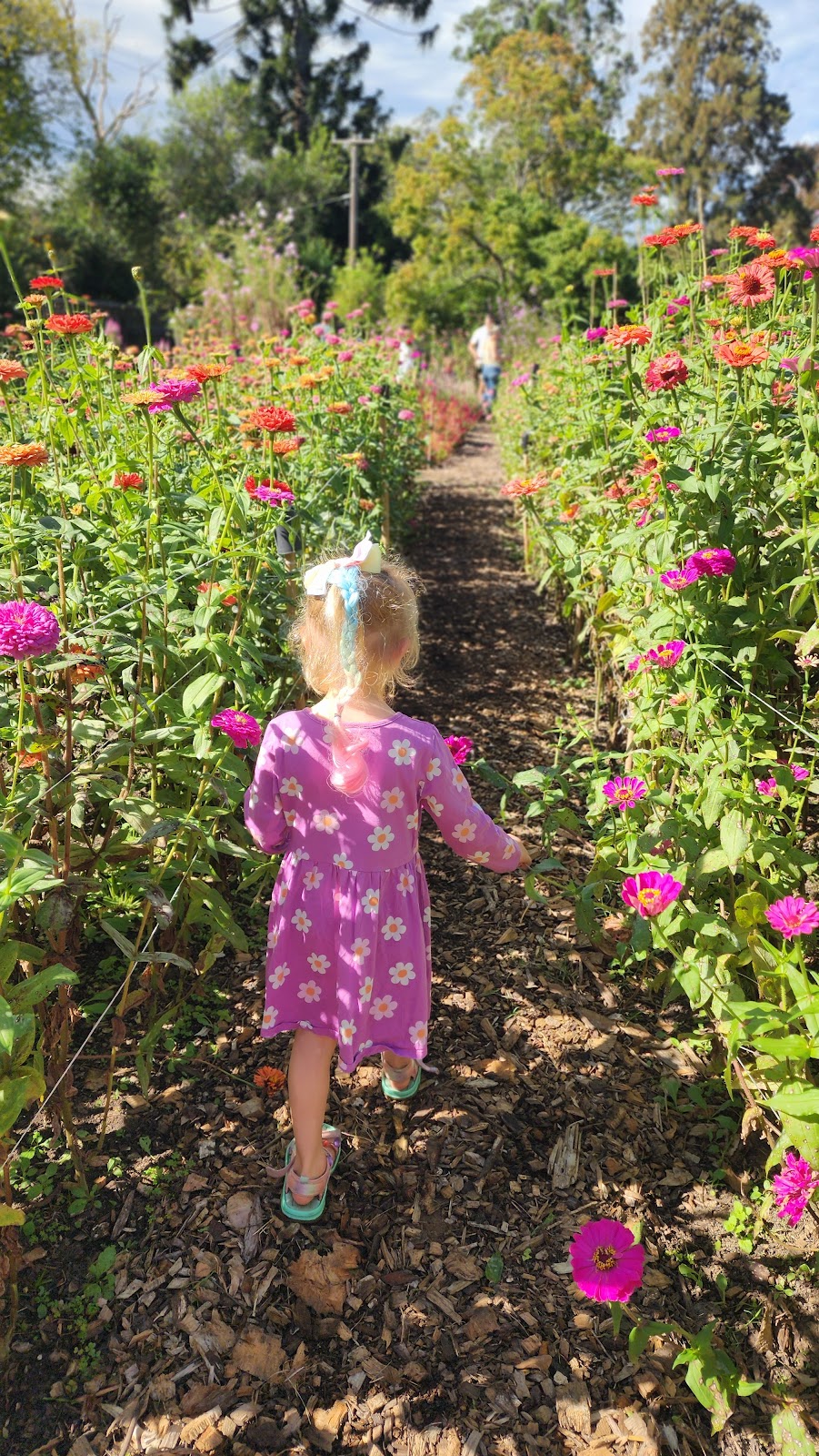 Weeping Willow Farm | Palmdale Rd, Palmdale NSW 2258, Australia | Phone: 0494 382 283