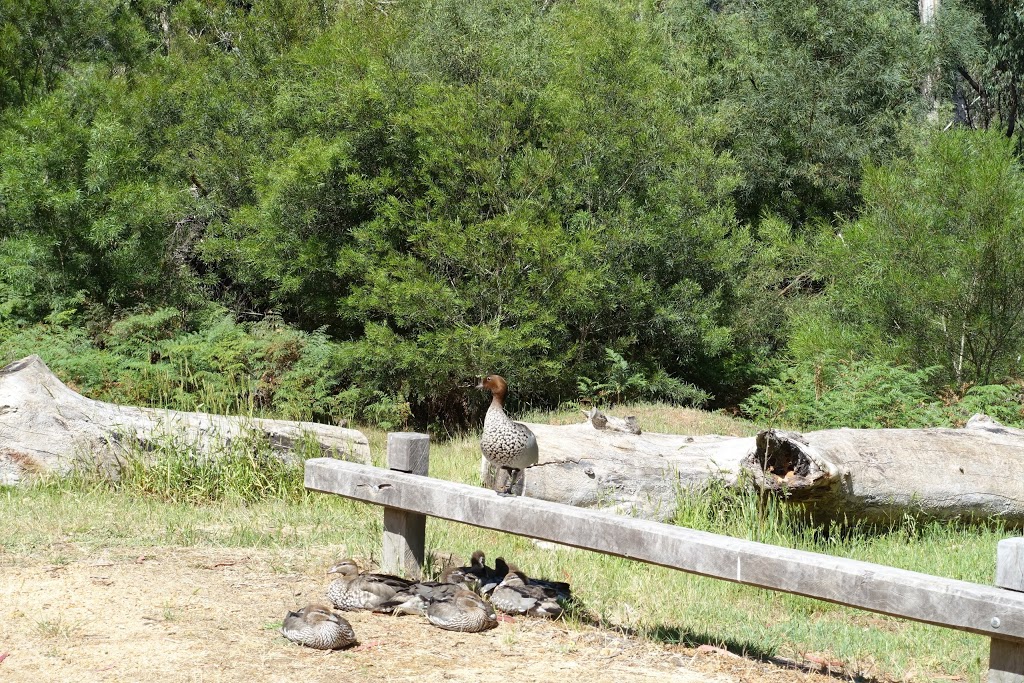 Borough Huts Campground | campground | Grampians Rd, Bellfield VIC 3381, Australia | 131963 OR +61 131963