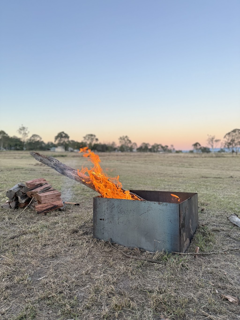 Yellow Rose Ranch | 14A Caleys Ct, Lockrose QLD 4342, Australia | Phone: 0492 857 810