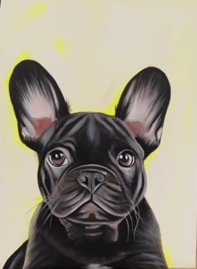 pinot-pet-casso | The Piazza, Wentworth Point NSW 2127, Australia | Phone: 0410 577 619