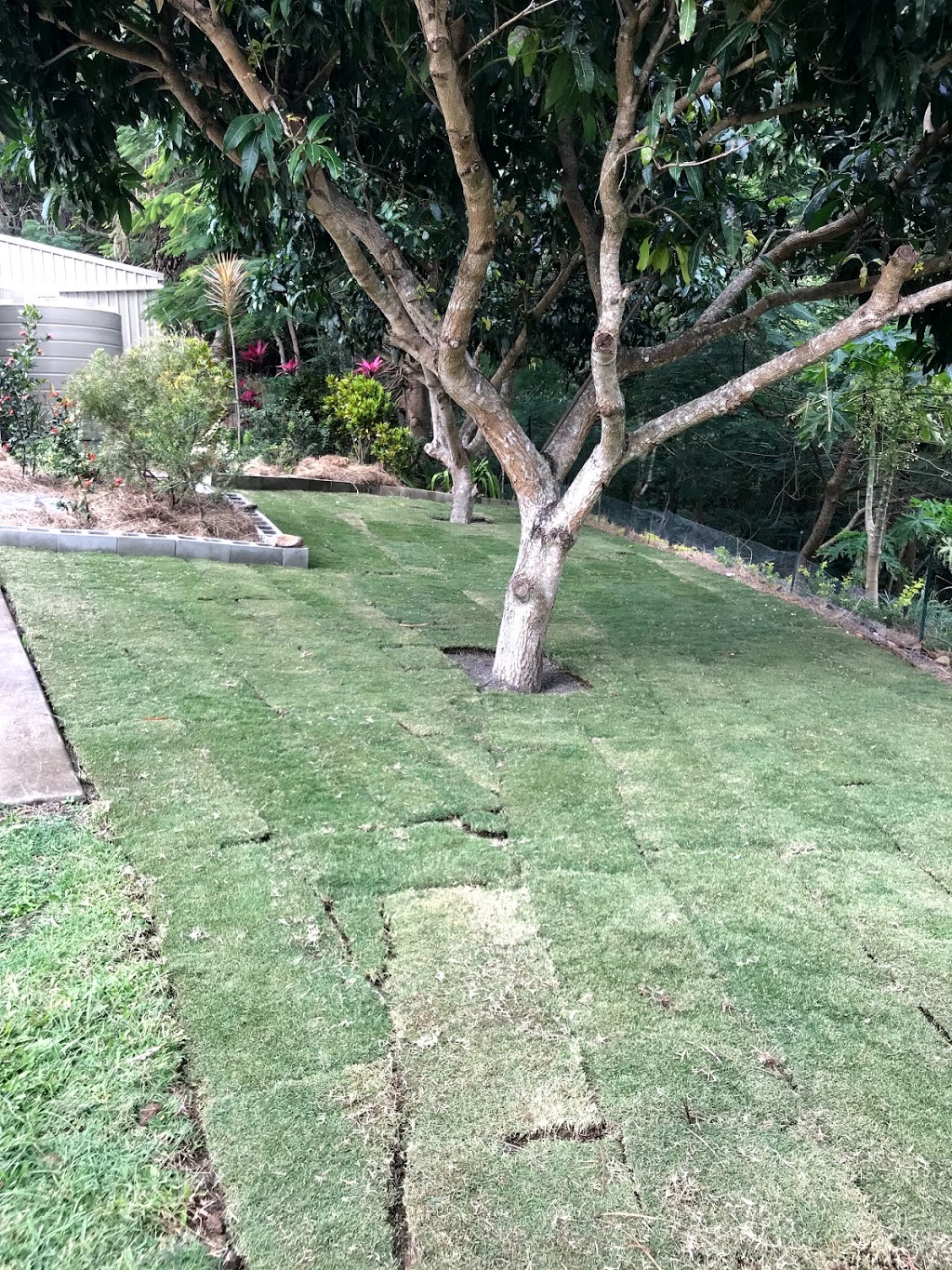 Marian Lawns | 107 Brand Rd, Marian QLD 4741, Australia | Phone: 0408 776 827