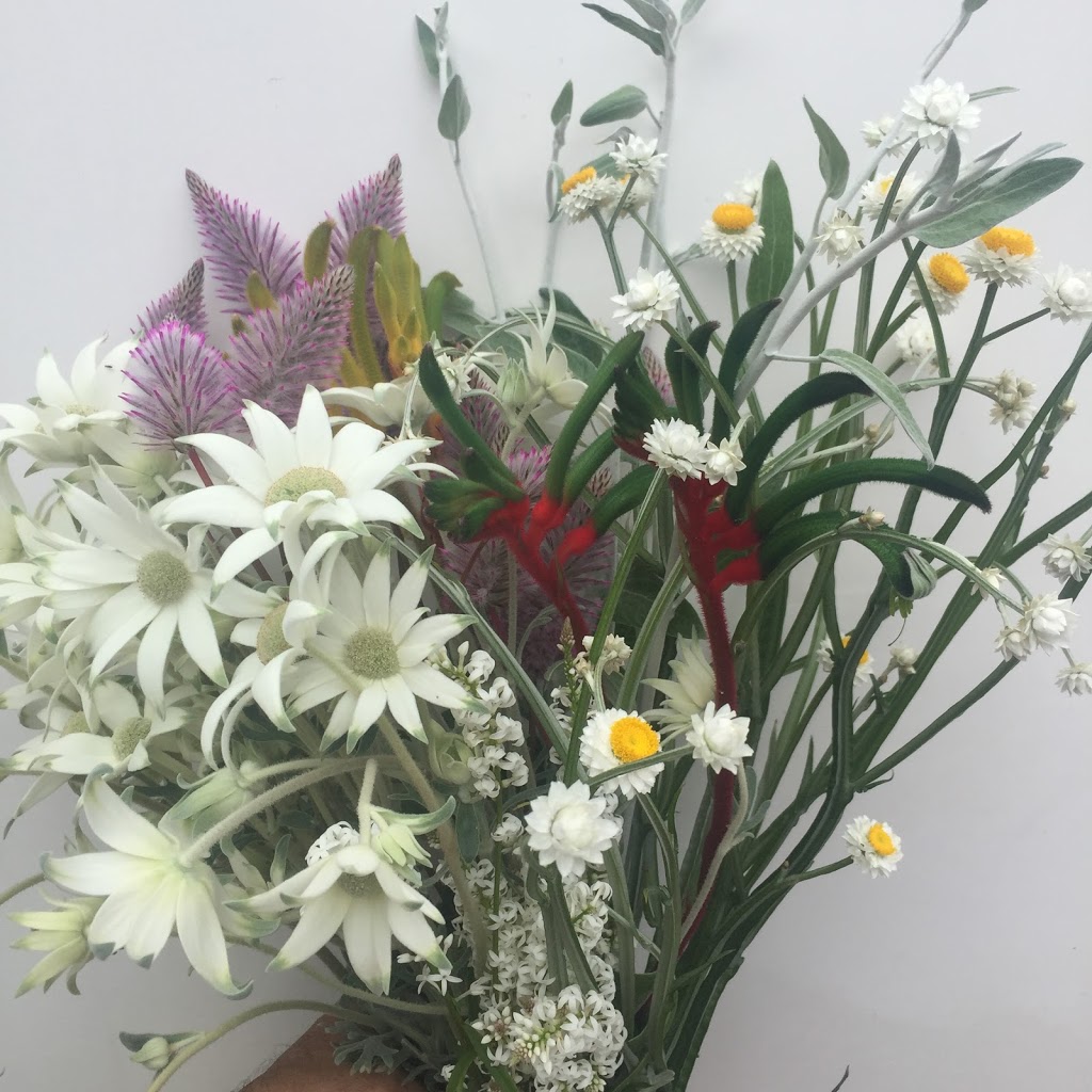 East Coast Wildflowers | florist | Flemington Markets NSW 2129, Australia | 0293256774 OR +61 2 9325 6774