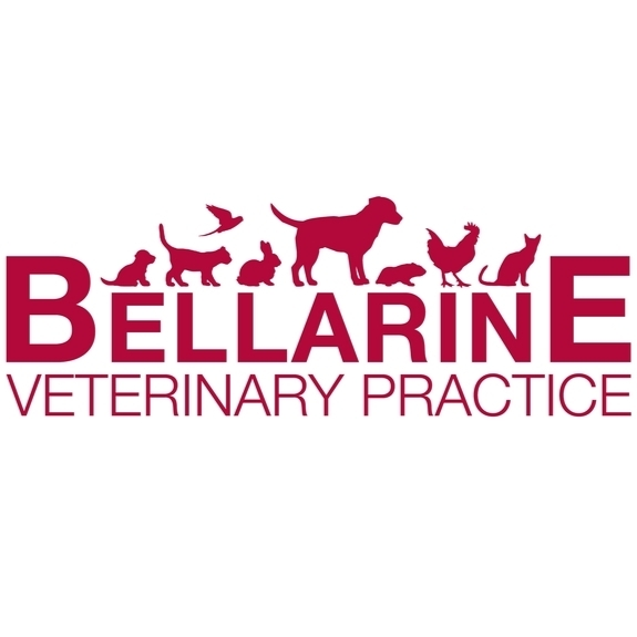 Bellarine Veterinary Practice | 108 High St, Drysdale VIC 3222, Australia | Phone: (03) 5253 1393