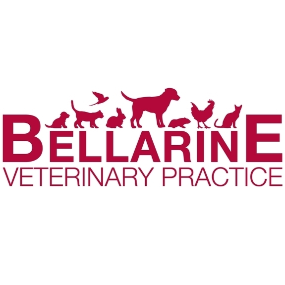 Bellarine Veterinary Practice | veterinary care | 108 High St, Drysdale VIC 3222, Australia | 0352531393 OR +61 3 5253 1393