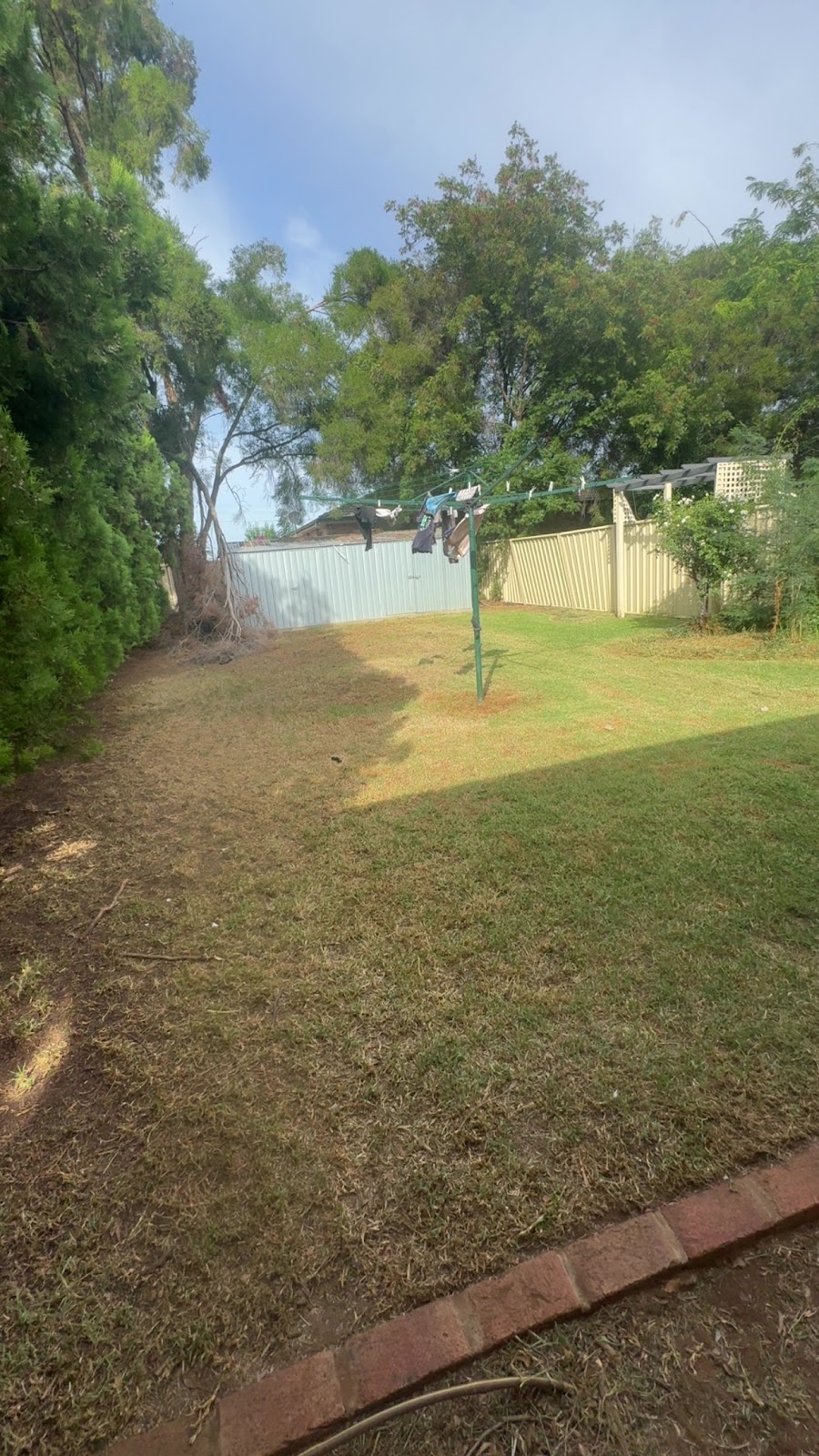 Griffith lawns & removals | 50A Madden Dr, Griffith NSW 2680, Australia | Phone: 0402 496 131