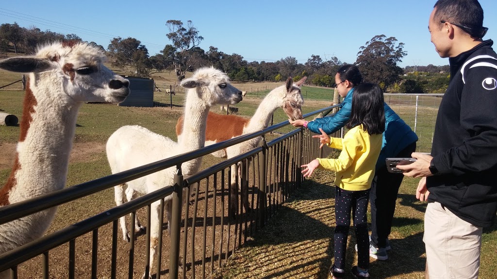 Horse Riding Sydney | travel agency | 745 Barkers Lodge Rd, Picton NSW 2571, Australia | 0246809243 OR +61 2 4680 9243