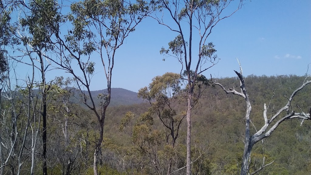 Paperbark Flats Picnic Area | 265-317 School Rd, Redbank Plains QLD 4301, Australia | Phone: (07) 3810 6666