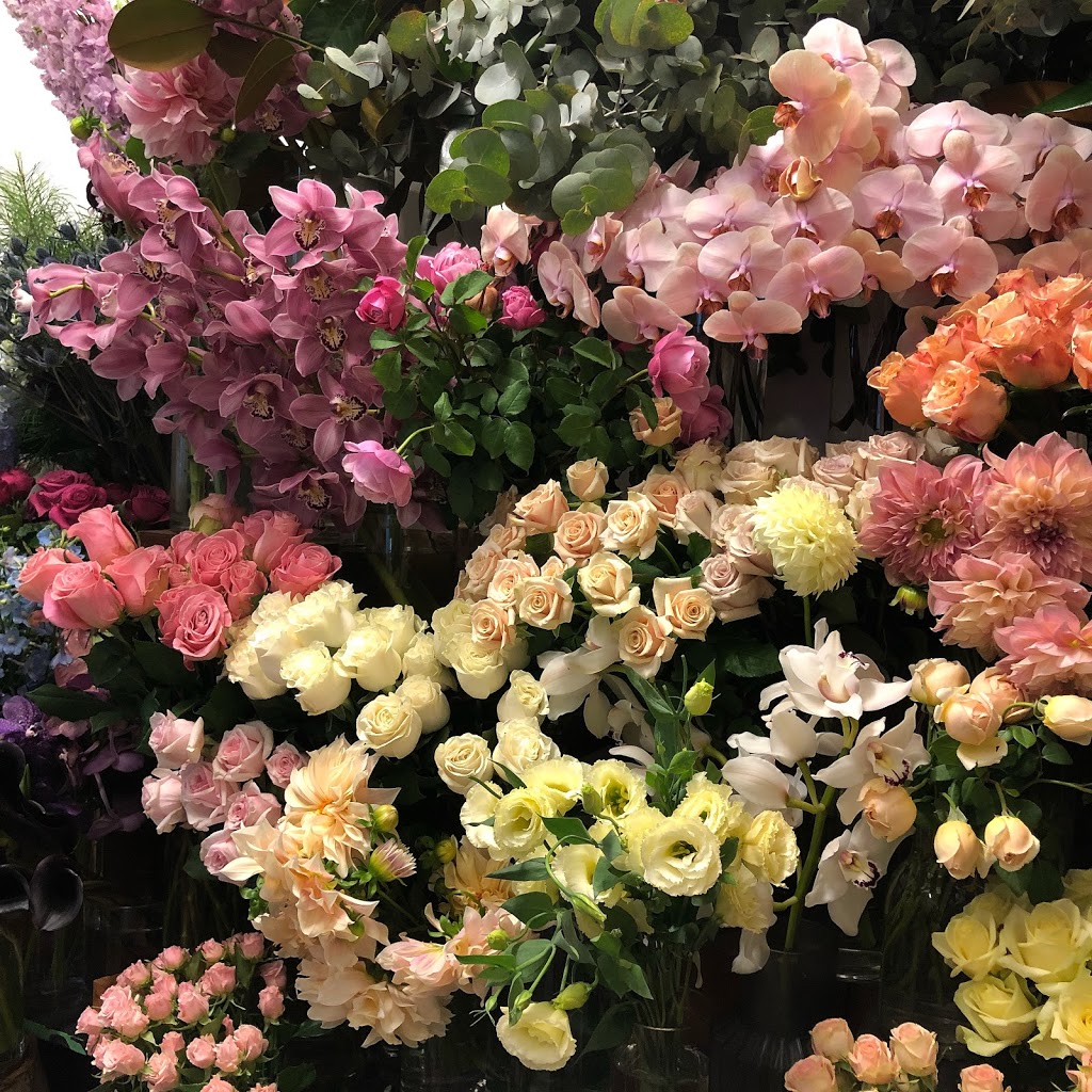 Pepes Garden | florist | Shop 1/175 Keira St, Wollongong NSW 2500, Australia | 0414191986 OR +61 414 191 986