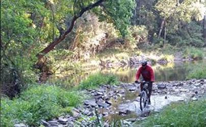 Ride On Mary...Kayak & Bike Bush Adventures | amusement park | 578 Lowe Rd, Bollier QLD 4570, Australia | 0400297678 OR +61 400 297 678