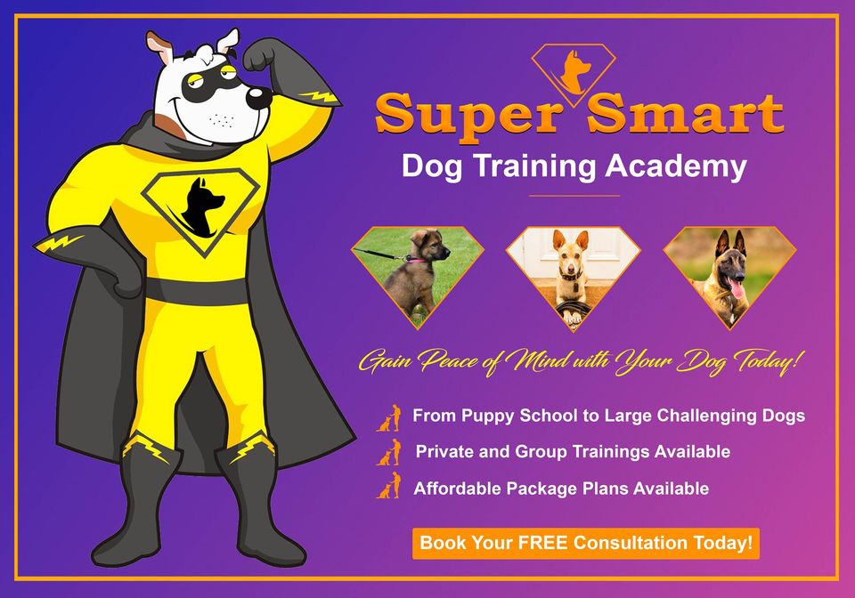 Super Smart Dog Training Academy | pet store | 109 Currumbin Creek Rd, Currumbin Waters QLD 4223, Australia | 0422267168 OR +61 422 267 168