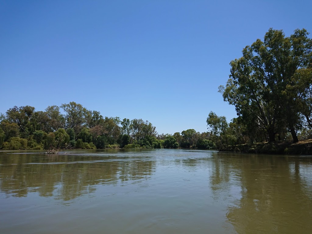 Murray River Canoe Hire | store | 301 Macauley St, Albury NSW 2640, Australia | 0417691339 OR +61 417 691 339