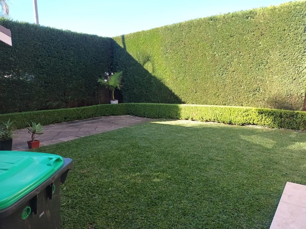feature trees & perfection hedging | 3, Winston Hills NSW 2153, Australia | Phone: 0430 529 619