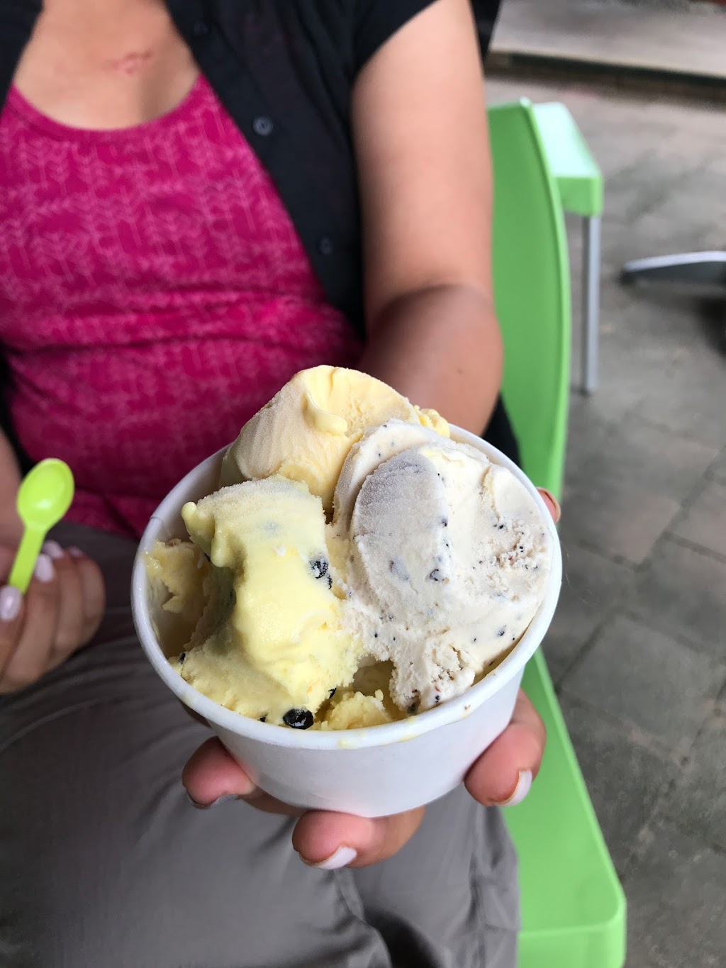 Daintree Ice Cream Company | store | 1819 Cape Tribulation Rd, Diwan QLD 4873, Australia | 0740989114 OR +61 7 4098 9114