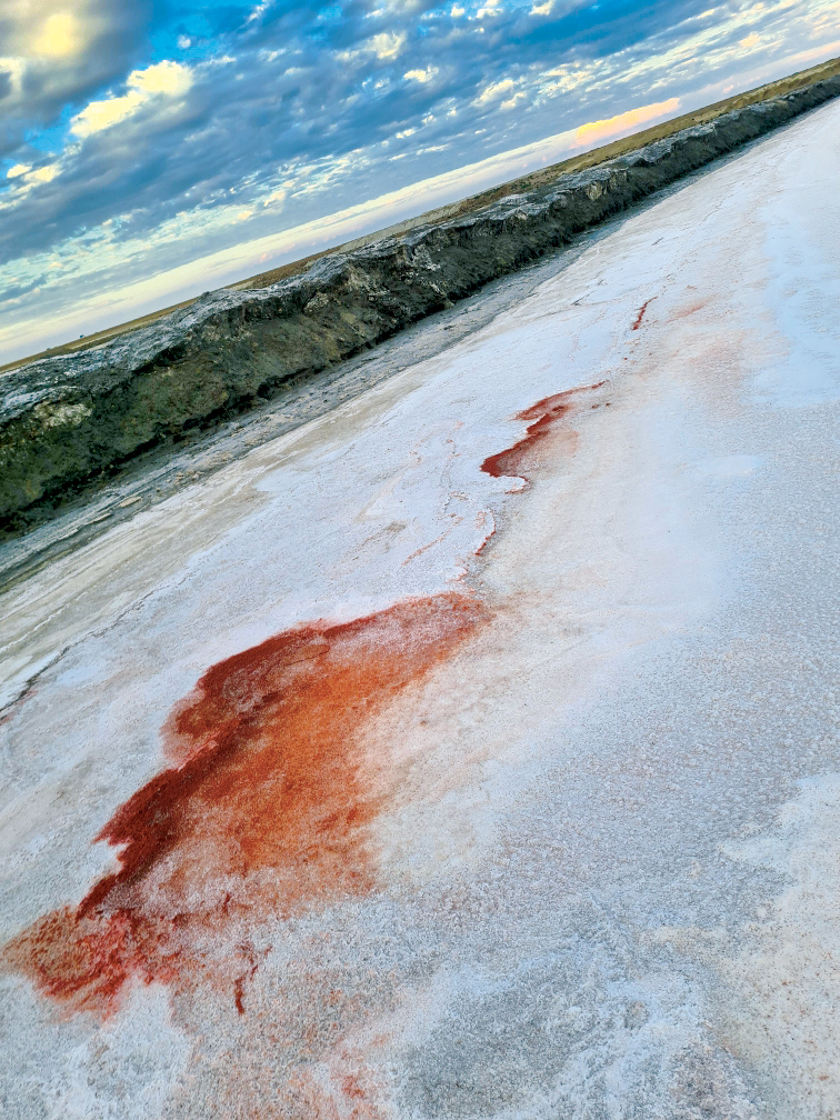 Lake Charm Salt | 22 Lake Charm E Rd, Lake Charm VIC 3581, Australia | Phone: 0428 575 264