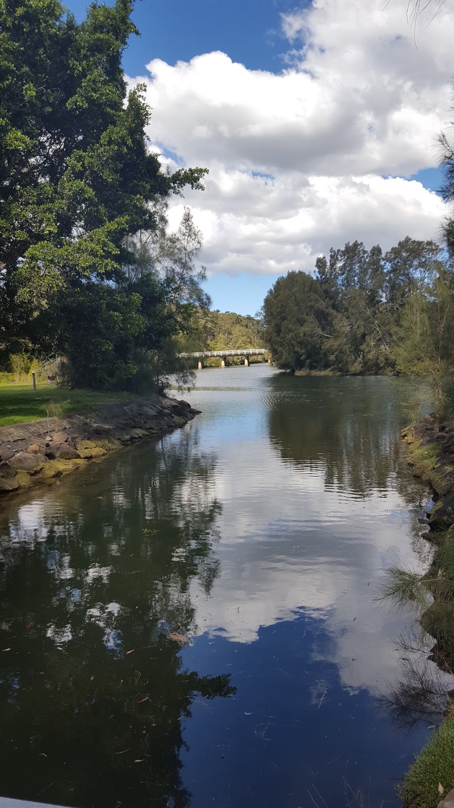 Lane Cove National Park Picnic Bookings | park | Max Allen Dr, Lindfield NSW 2070, Australia | 0284480406 OR +61 2 8448 0406