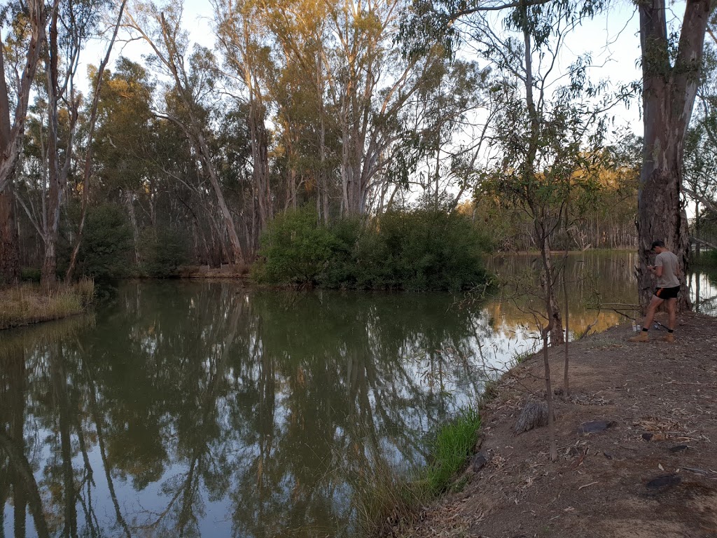 The Gulf Camping and Picnic Area | campground | River Rd, Yielima VIC 3638, Australia