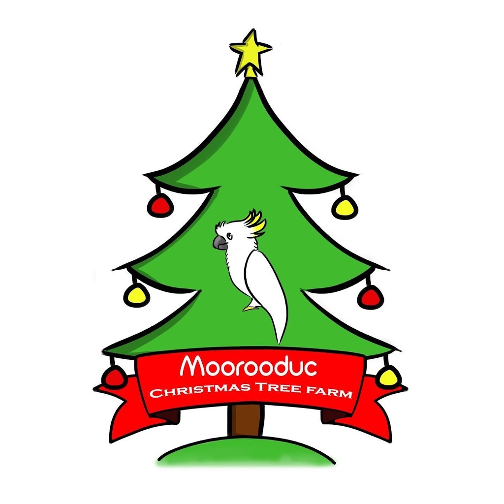 Moorooduc Christmas Tree Farm | 249 Mornington-Tyabb Rd, Moorooduc VIC 3933, Australia | Phone: 0412 969 177