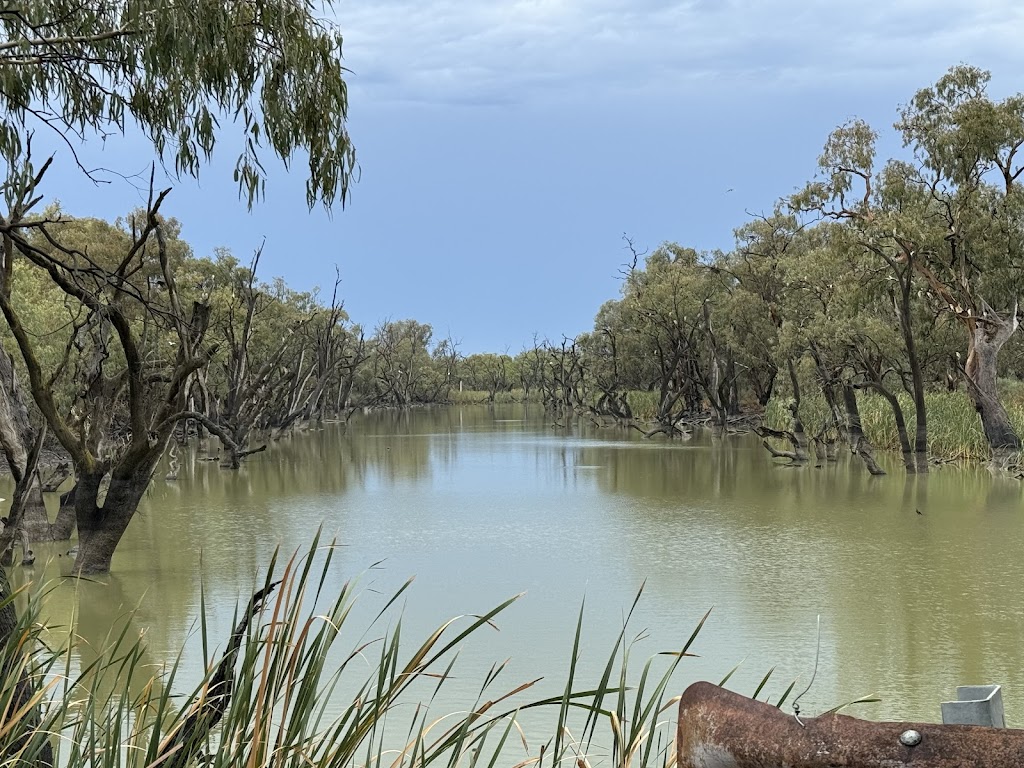 Gayini Conservation Area | 2748 Nap Nap Road, Maude NSW 2711, Australia | Phone: (02) 6993 2243