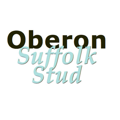 Oberon Suffolk Stud |  | 61 Dolphins Rd, Musk VIC 3461, Australia | 0353485799 OR +61 3 5348 5799