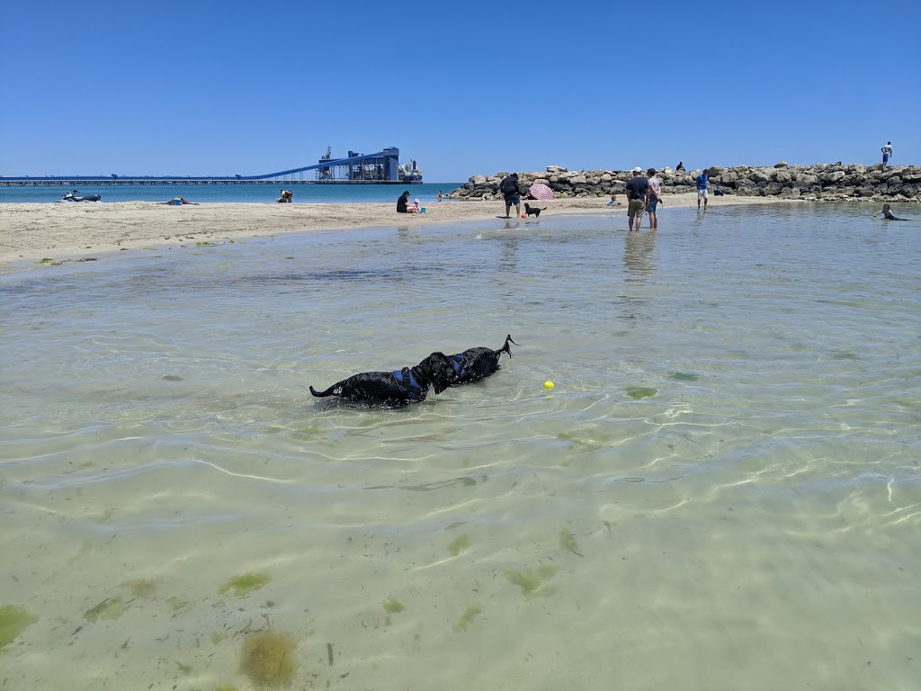 Kwinana Dog Beach North | Tourist Drive, 202, East Rockingham WA 6168, Australia