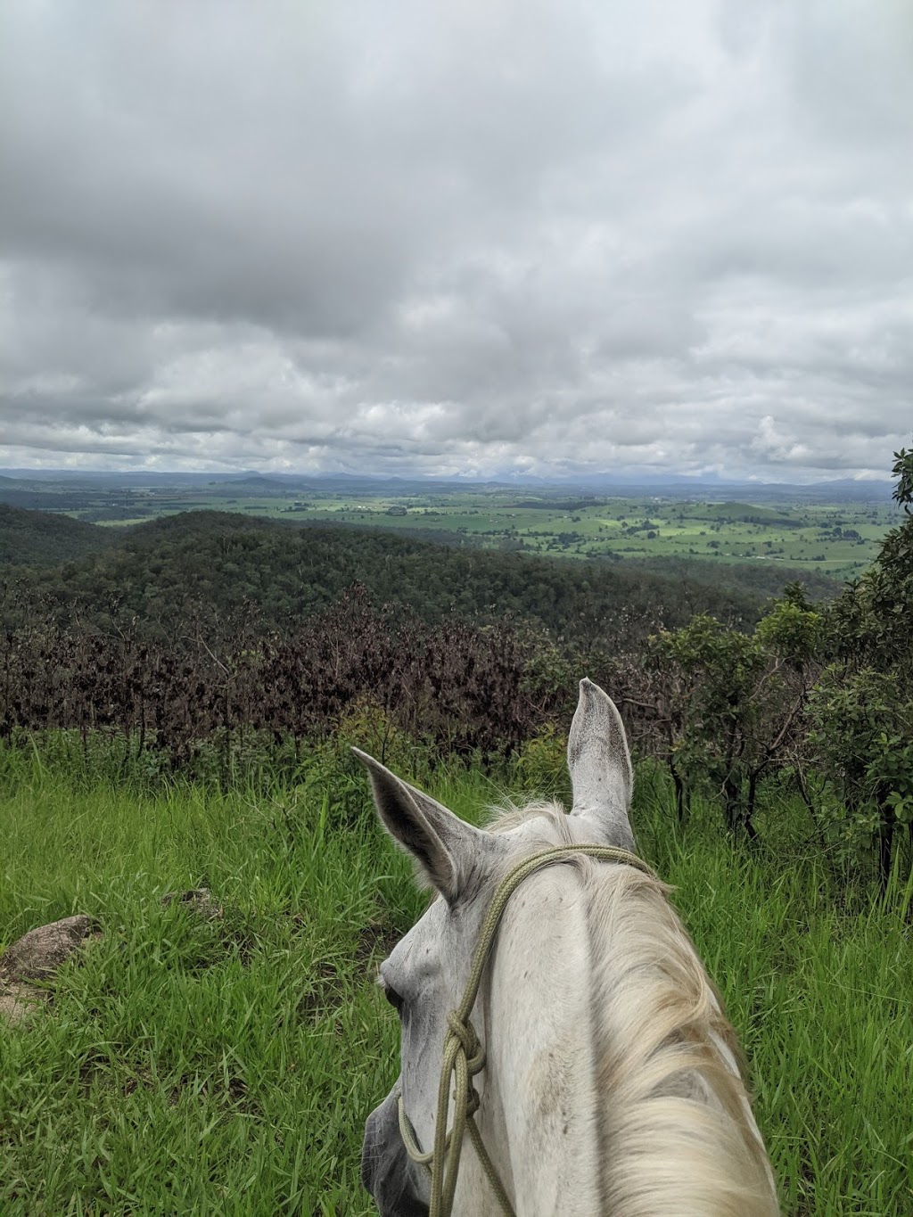Drovers Lookout | tourist attraction | Wondecla QLD 4887, Australia | 0740914222 OR +61 7 4091 4222