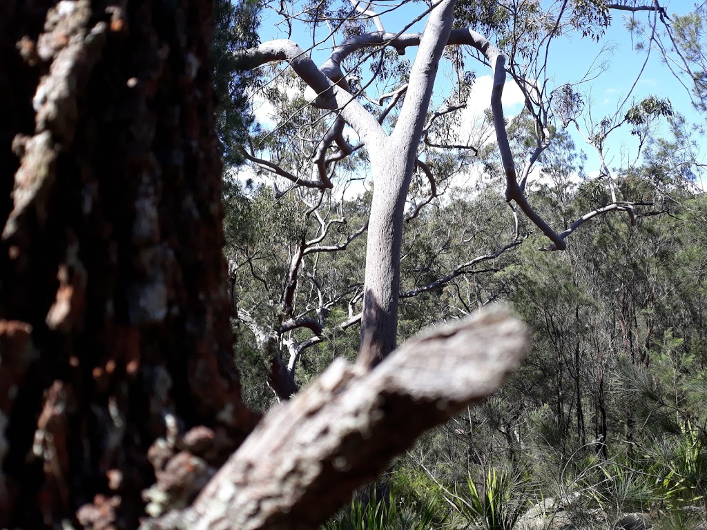 Mangrove Mountain Camp | 2154 Wisemans Ferry Rd, Mangrove Mountain NSW 2250, Australia