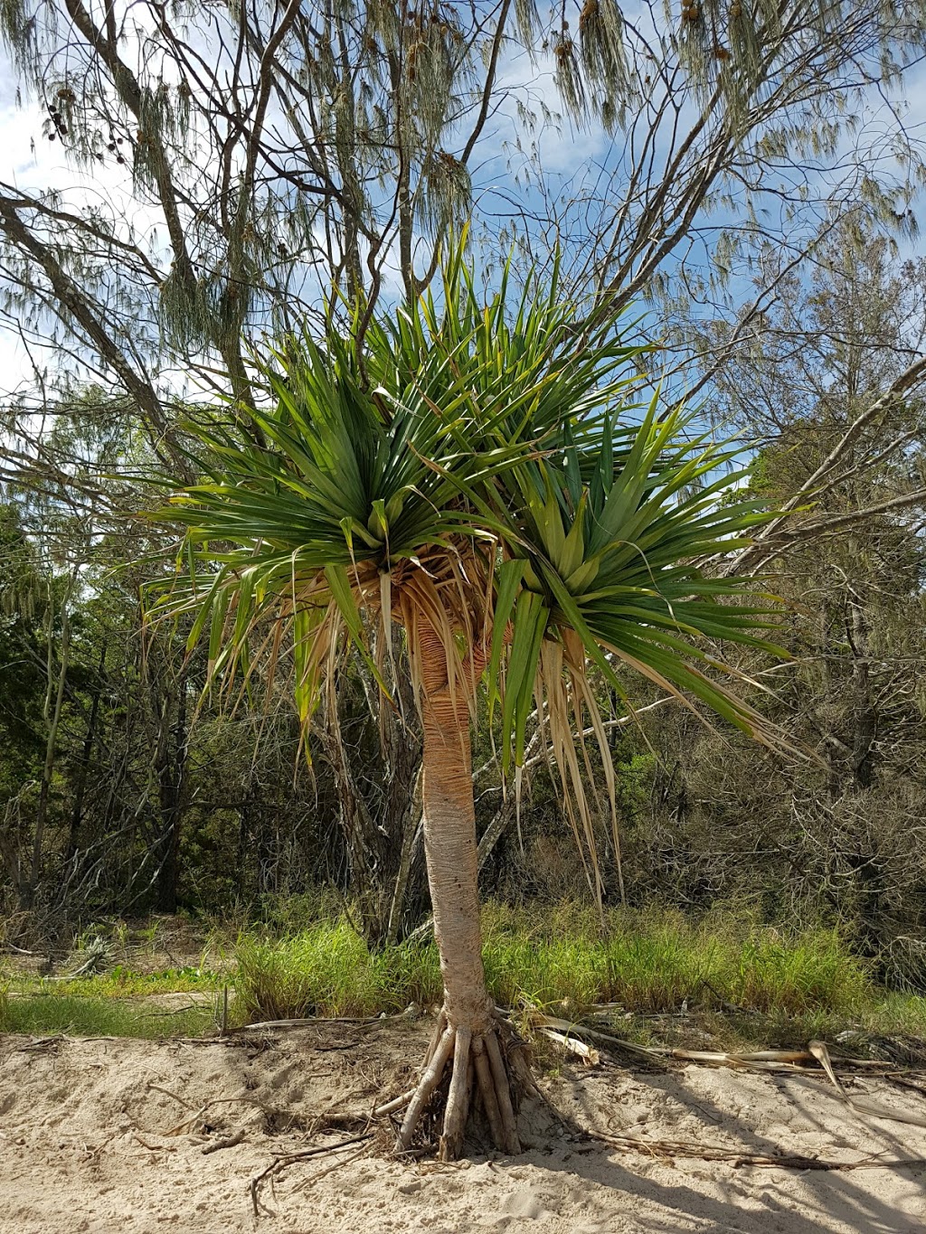 Fixter Park | Toogoom QLD 4655, Australia