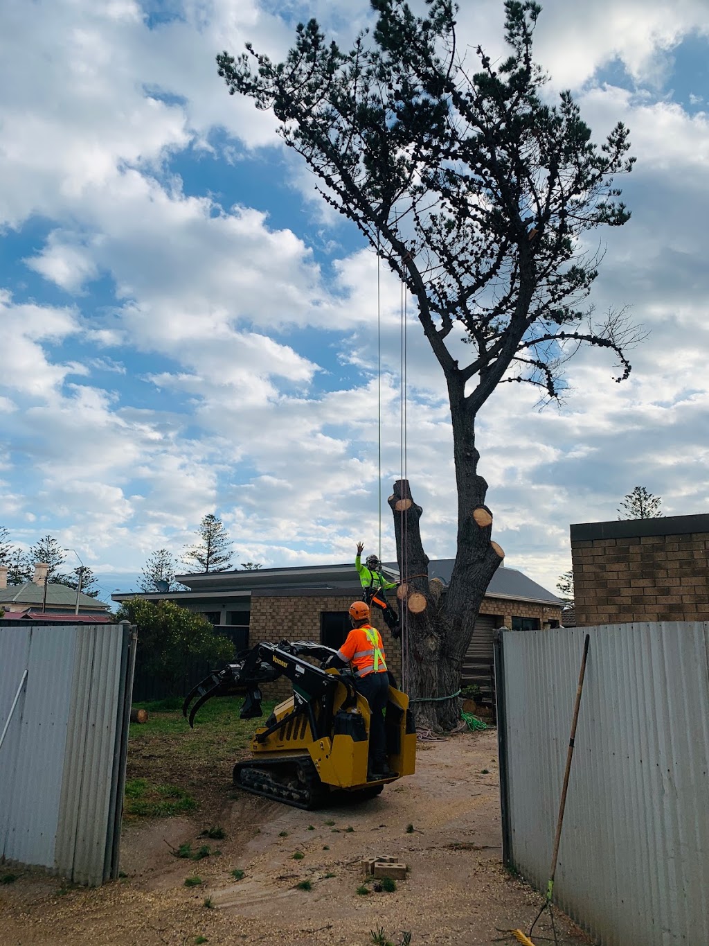 All Purpose Tree Services | general contractor | Adelaide, 40d Neptune Terrace, Rosewater SA 5013, Australia | 0405095146 OR +61 405 095 146