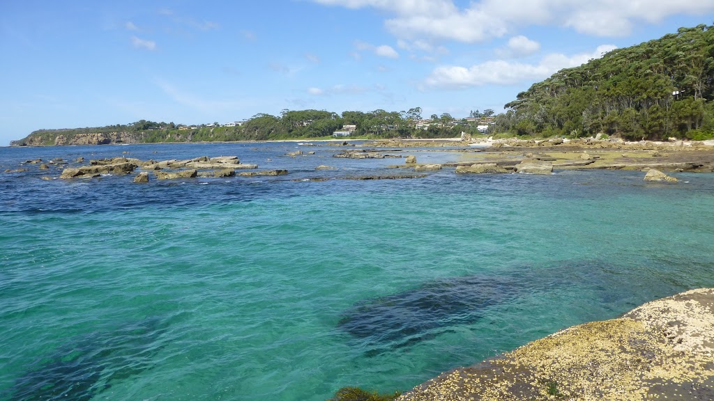 Mollymook Surf Life Saving Club | 83 Ocean St, Mollymook NSW 2539, Australia | Phone: (02) 4455 2725