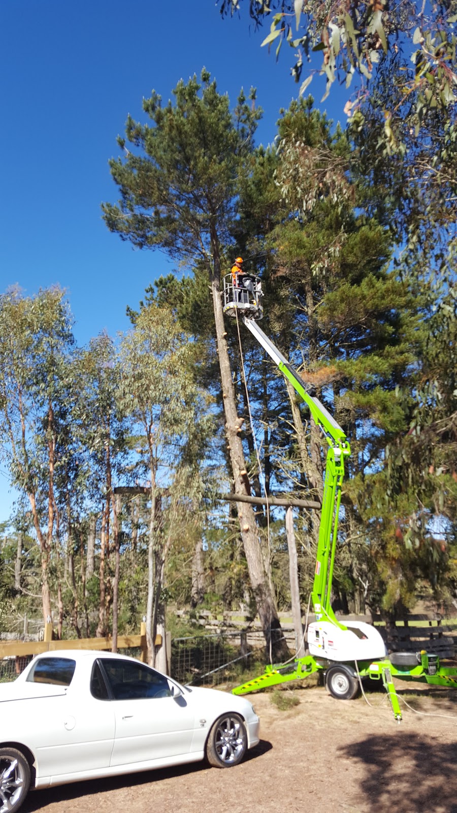 Mojo Tree Services PTY LTD |  | 34 Eliza Power Dr, Marulan NSW 2579, Australia | 0431068672 OR +61 431 068 672