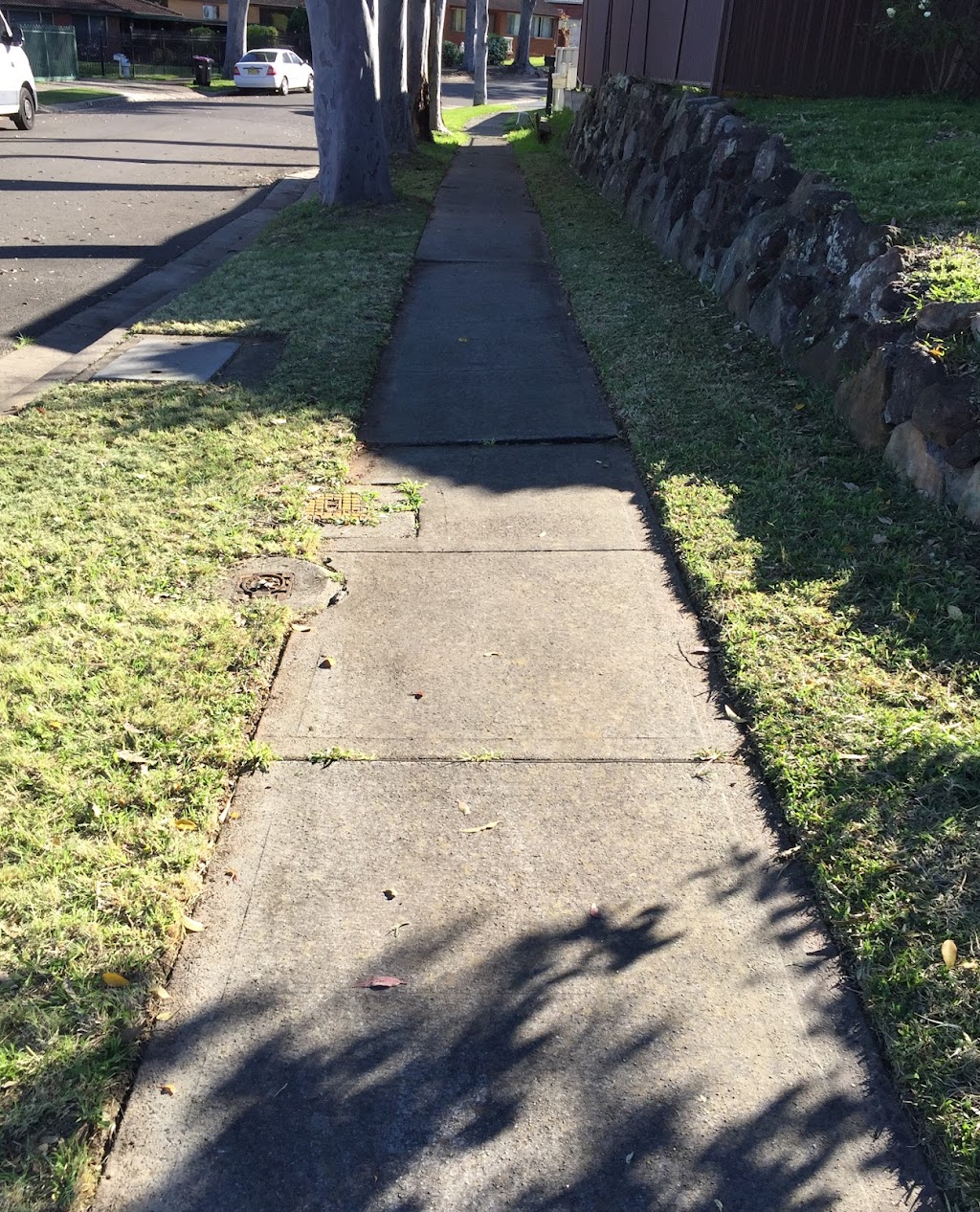 Mats Mowing & Lawn Care | 11 Kenneth Cres, Dean Park NSW 2761, Australia | Phone: 0468 733 644
