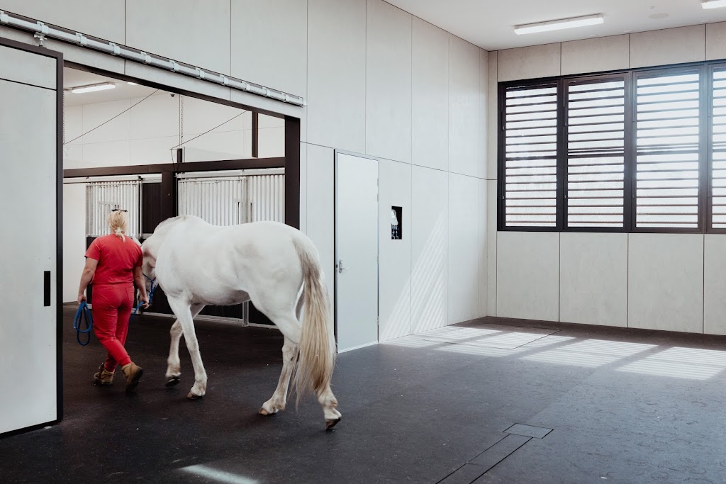 Willinga Park Equine Vet Hospital | 134 Forster Dr, Bawley Point NSW 2539, Australia | Phone: (02) 4405 5658