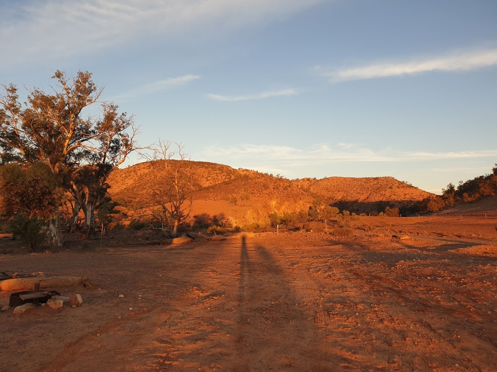 Mt Little Station Camp Site | Unnamed Road, Flinders Ranges SA 5434, Australia