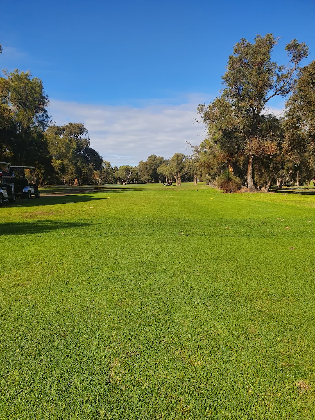 Marri Park Golf Course | 34 Marri Park Dr, Casuarina WA 6167, Australia | Phone: (08) 9419 3037