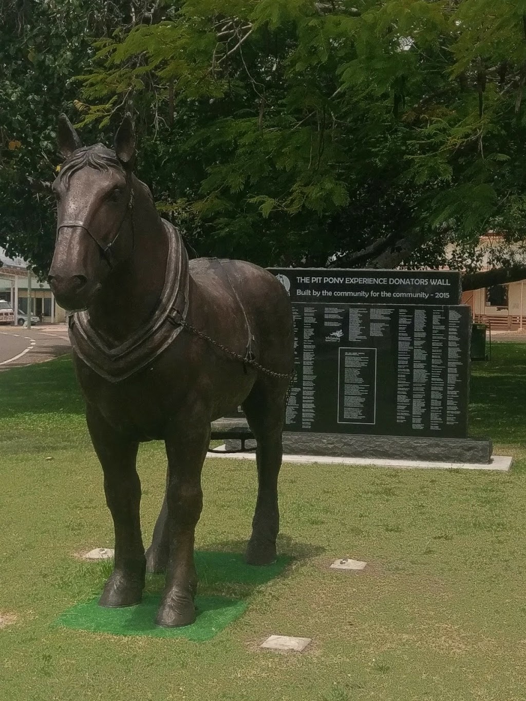 Collinsville Pit Pony Experience | tourist attraction | 34 Sonoma St, Collinsville QLD 4804, Australia | 0427573991 OR +61 427 573 991