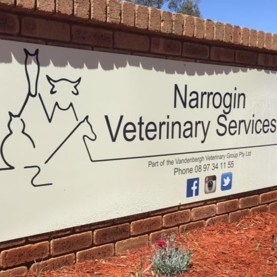 Narrogin Veterinary Services | veterinary care | 200 Earl St, Hillside WA 6312, Australia | 0898815417 OR +61 8 9881 5417