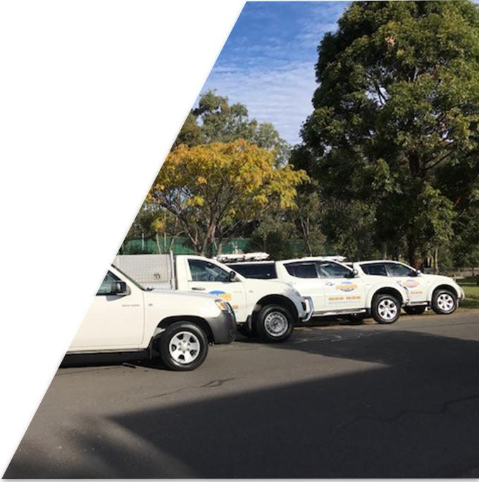 Knockdown Pest Control | general contractor | 76 Chalmers St, Belmore NSW 2192, Australia | 1300262463 OR +61 1300 262 463