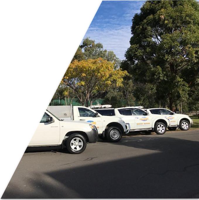 Knockdown Pest Control | 76 Chalmers St, Belmore NSW 2192, Australia | Phone: 1300 262 463