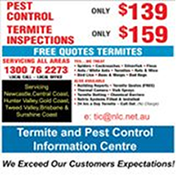 TERMITE AND PEST CONTROL INFORMATION CENTRE PTY LTD | 267 Stanhill Dr, Surfers Paradise QLD 4217, Australia | Phone: 1300 762 273
