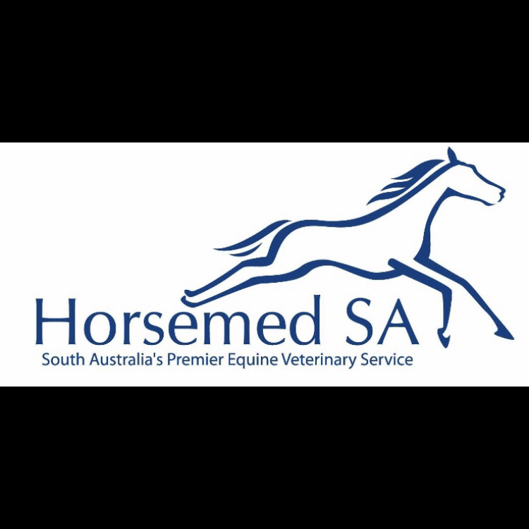 HorseMedSA Hills Equine Veterinary Clinic | hospital | 43 Old Mount Barker Rd, Echunga SA 5153, Australia | 0499399155 OR +61 499 399 155