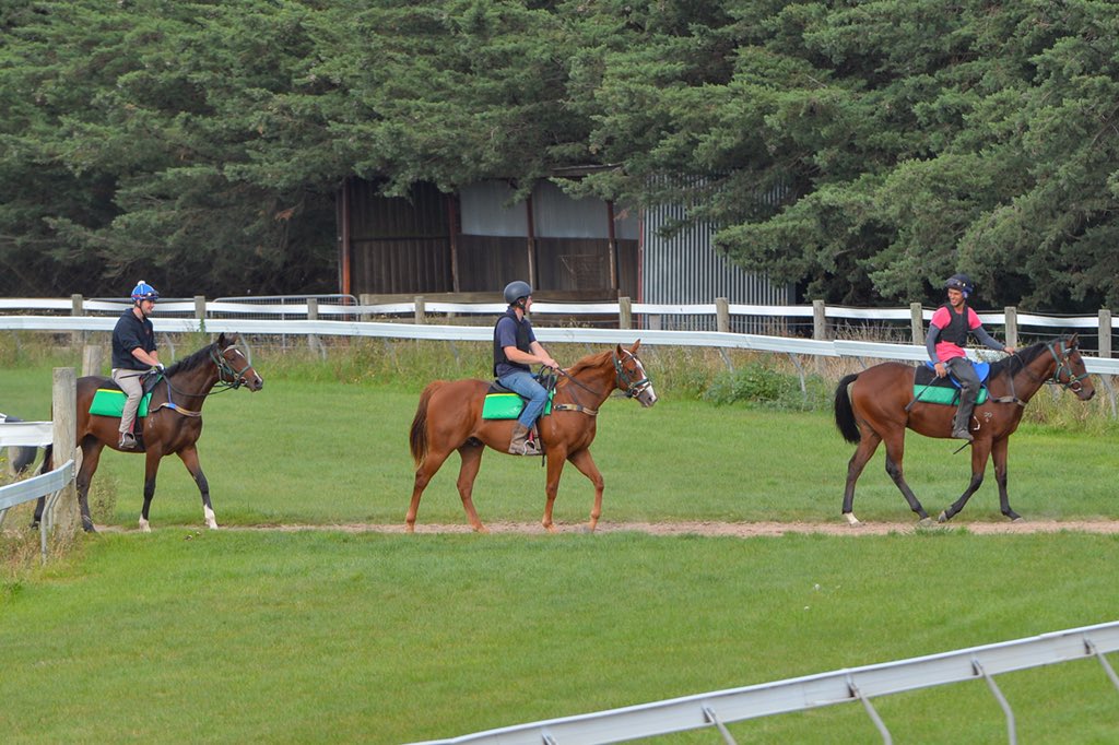 Luke Oliver Racing | 6 Greens Ln, Romsey VIC 3434, Australia | Phone: 0410 649 727