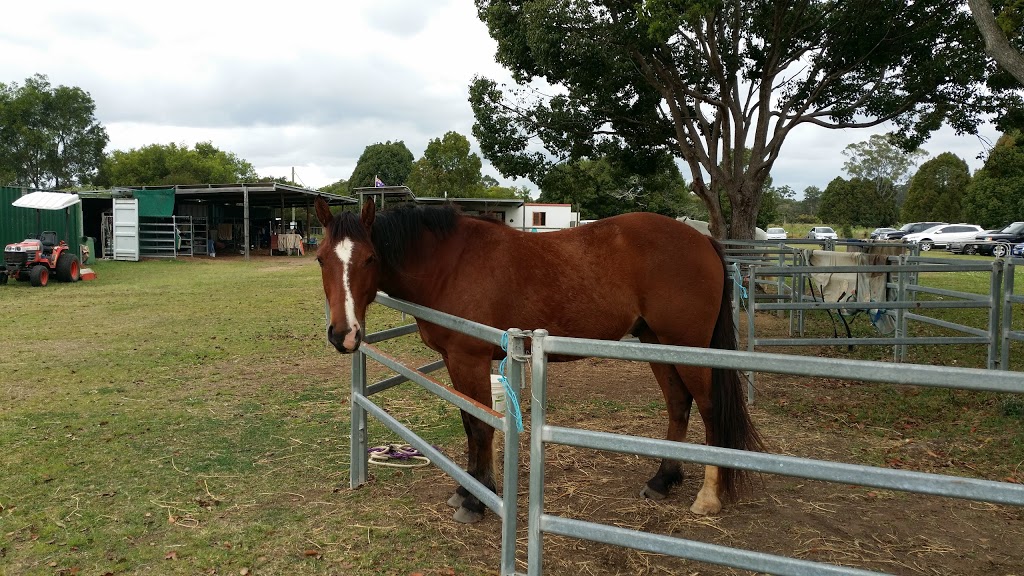 Sunshine Coast Riding for the Disabled Inc. |  | Monak Rd, North Arm QLD 4561, Australia | 0754727280 OR +61 7 5472 7280