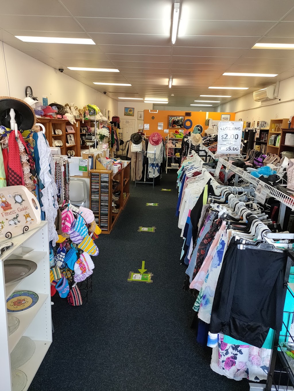 Animal Welfare League Queensland Op Shop | Coombabah Plaza 4, 21 Hansford Rd, Coombabah QLD 4216, Australia | Phone: 0431 834 836