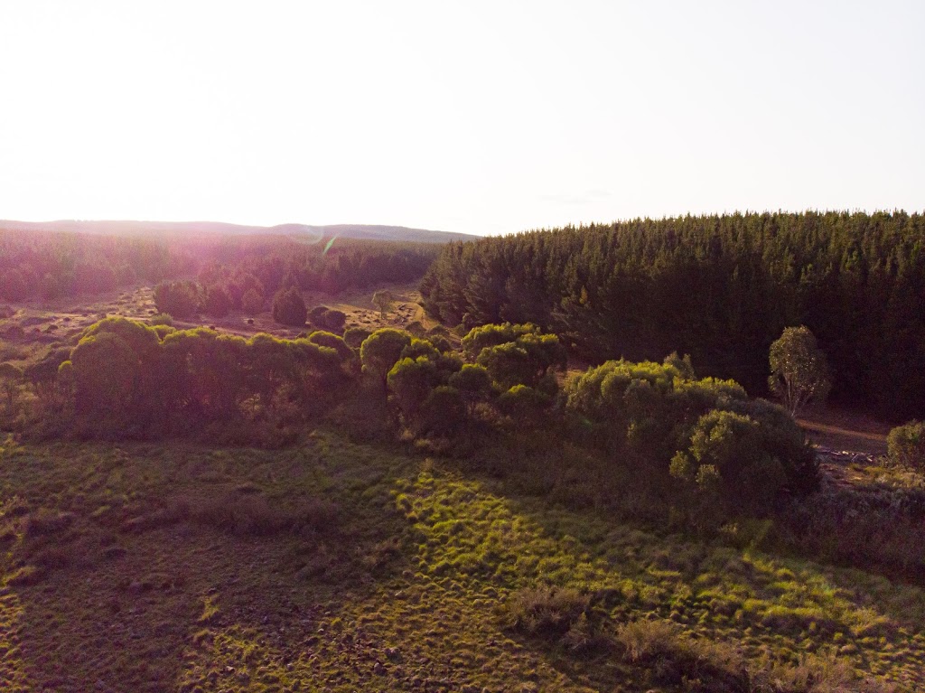 Long Arm Creek | Shooters Hill NSW 2787, Australia